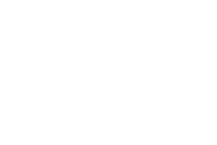 AUTHORITY SUBMITTAL